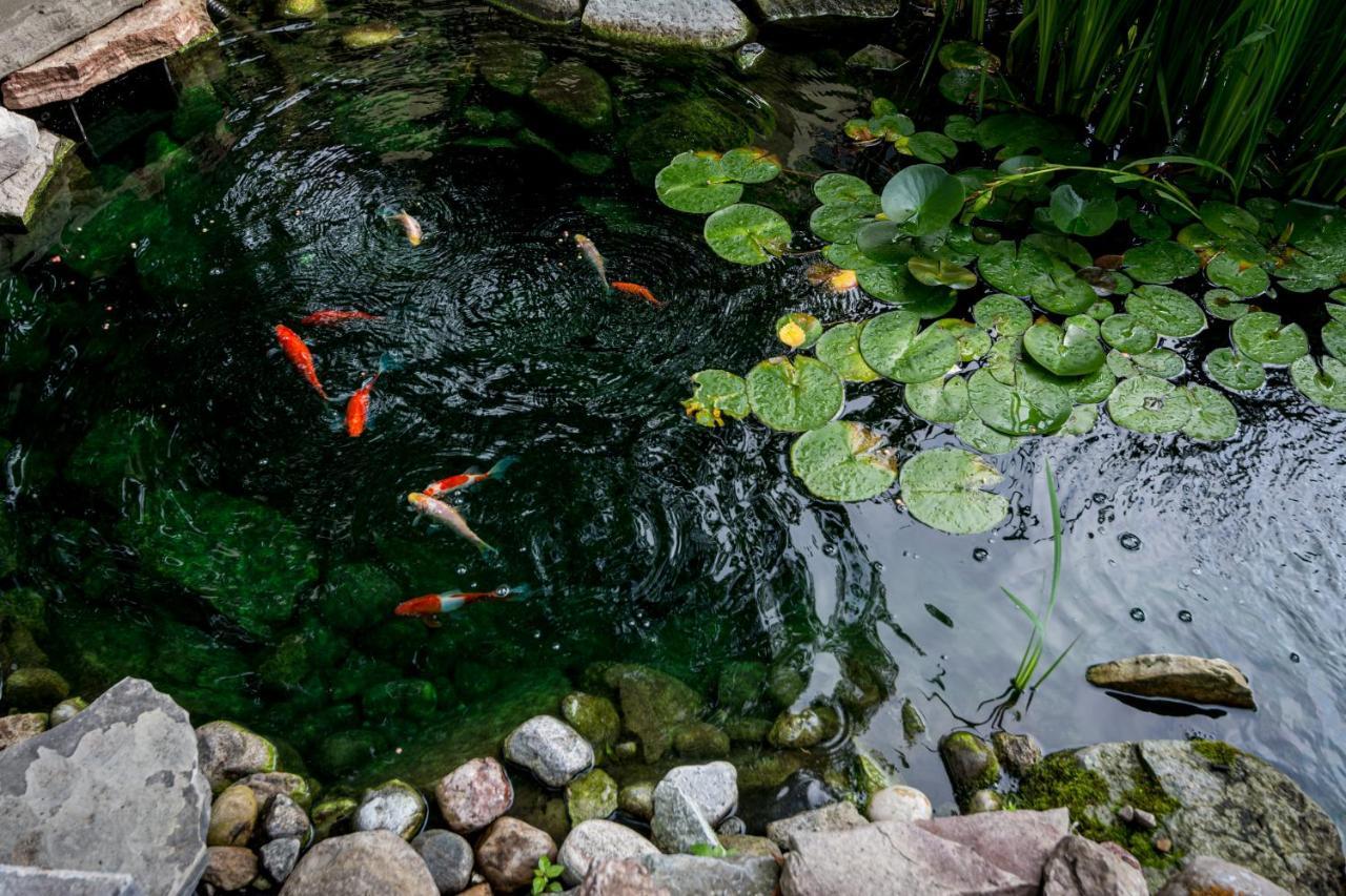The Secret Garden Inn Kingston Luaran gambar